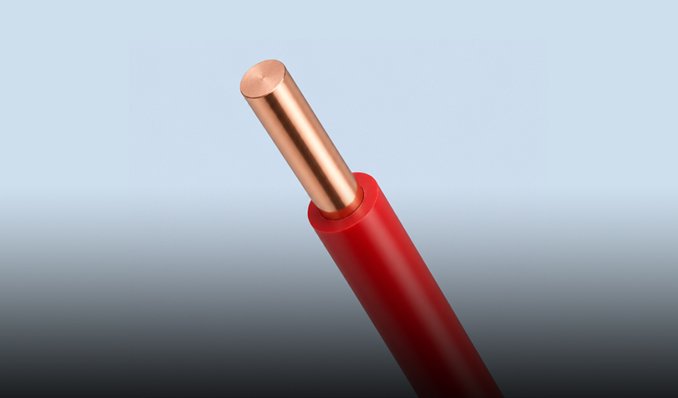 Plastic insulated wires and cables rated 450/750V and below